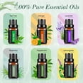Essential Oils Set,Fimilo Aromatherapy Fragrance Oils Gift Set-6 Pack,10ML(Peppermint,Lemongrass,Tea Tree,Rosemary,Lavender,Orange), Suit for Diffusers,Candle Making Scents,Fragrance,Humidifiers