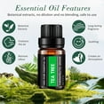 Essential Oils Set,Fimilo Aromatherapy Fragrance Oils Gift Set-6 Pack,10ML(Peppermint,Lemongrass,Tea Tree,Rosemary,Lavender,Orange), Suit for Diffusers,Candle Making Scents,Fragrance,Humidifiers