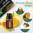 Essential Oils Set,Fimilo Aromatherapy Fragrance Oils Gift Set-6 Pack,10ML(Peppermint,Lemongrass,Tea Tree,Rosemary,Lavender,Orange), Suit for Diffusers,Candle Making Scents,Fragrance,Humidifiers